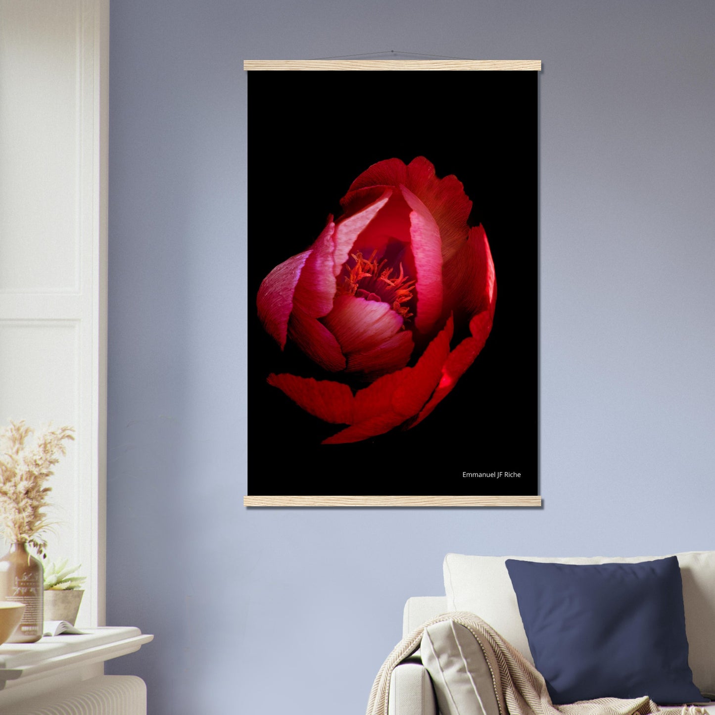 Rose rouge - Affiche en papier mat qualité musée avec cintres bois