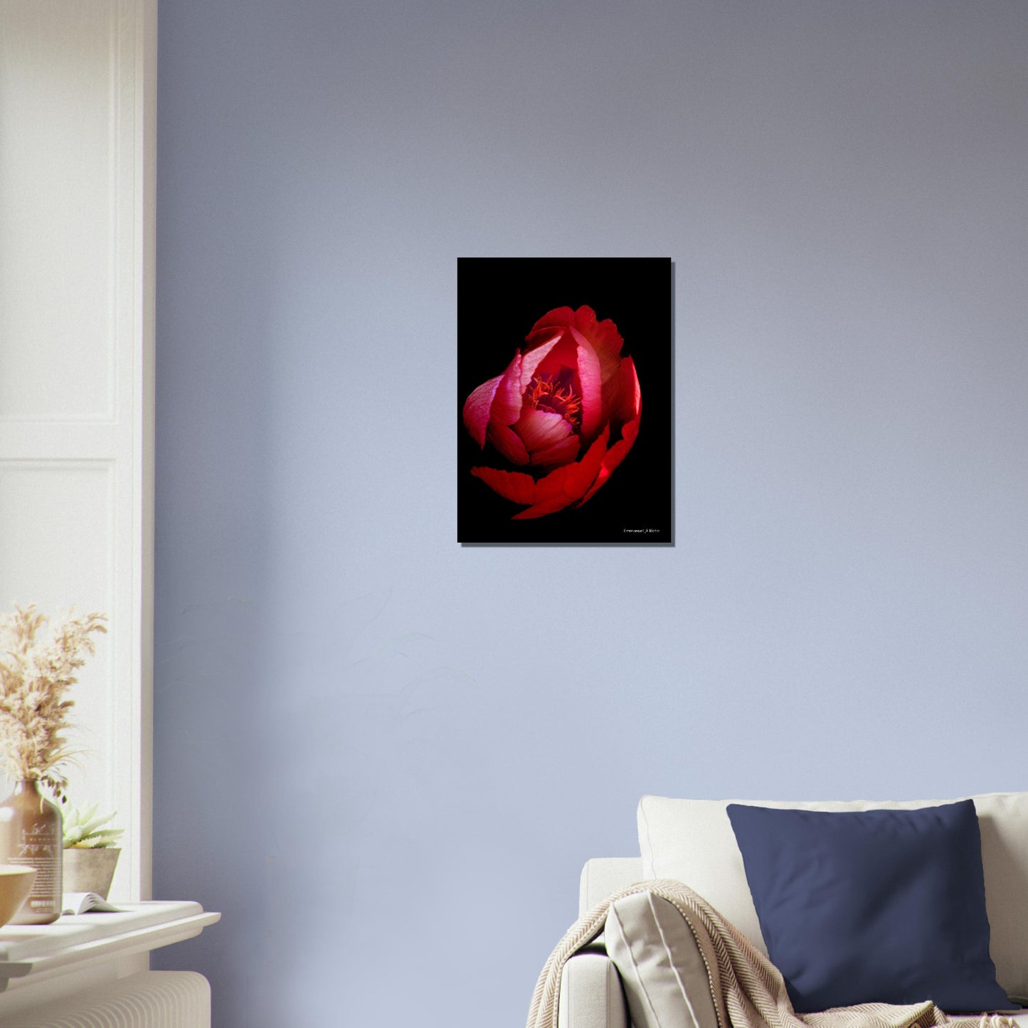 Rose rouge - Impression sur aluminium