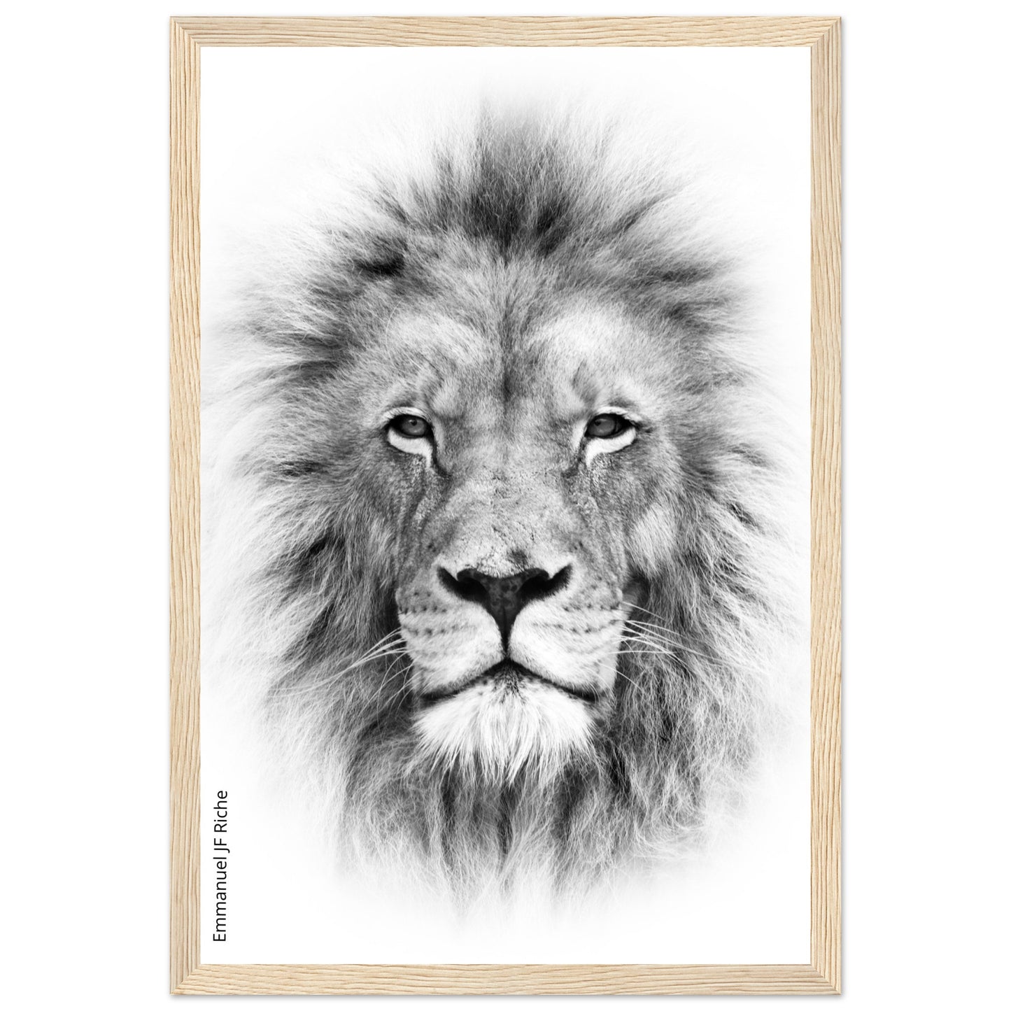 Lion - Cadre bois et papier poster mat 200g/m2 et cadre bois