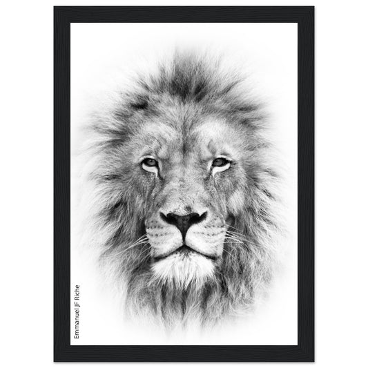 Lion - Cadre bois et papier poster mat 200g/m2 et cadre bois