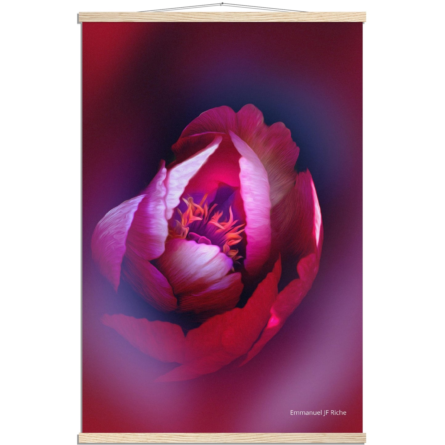 Rose - création rose-mauve - Affiche en papier mat qualité musée avec cintres bois