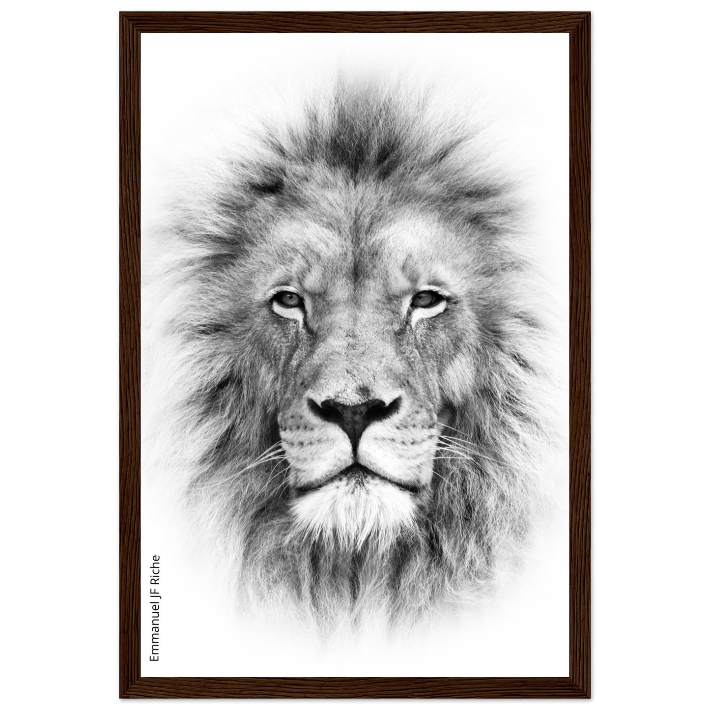 Lion - Cadre bois et papier poster mat 200g/m2 et cadre bois