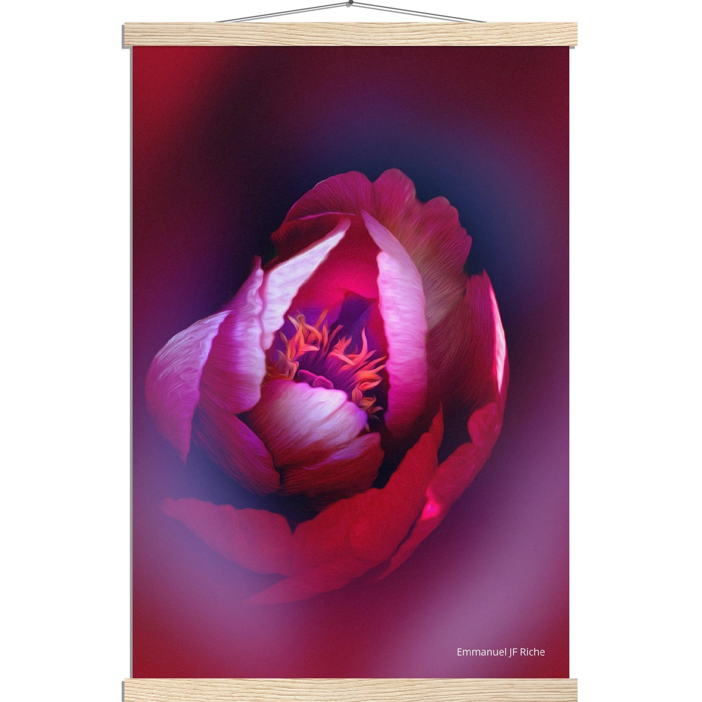 Rose - création rose-mauve - Affiche en papier mat qualité musée avec cintres bois