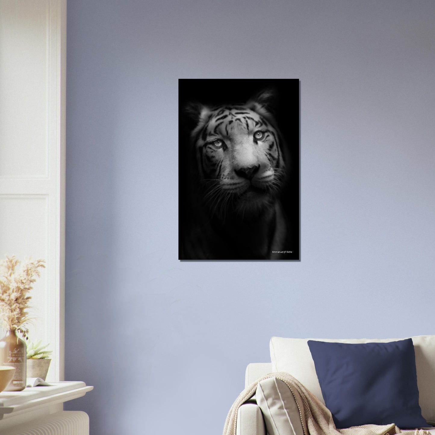 Tigre blanc HK - Impression sur aluminium