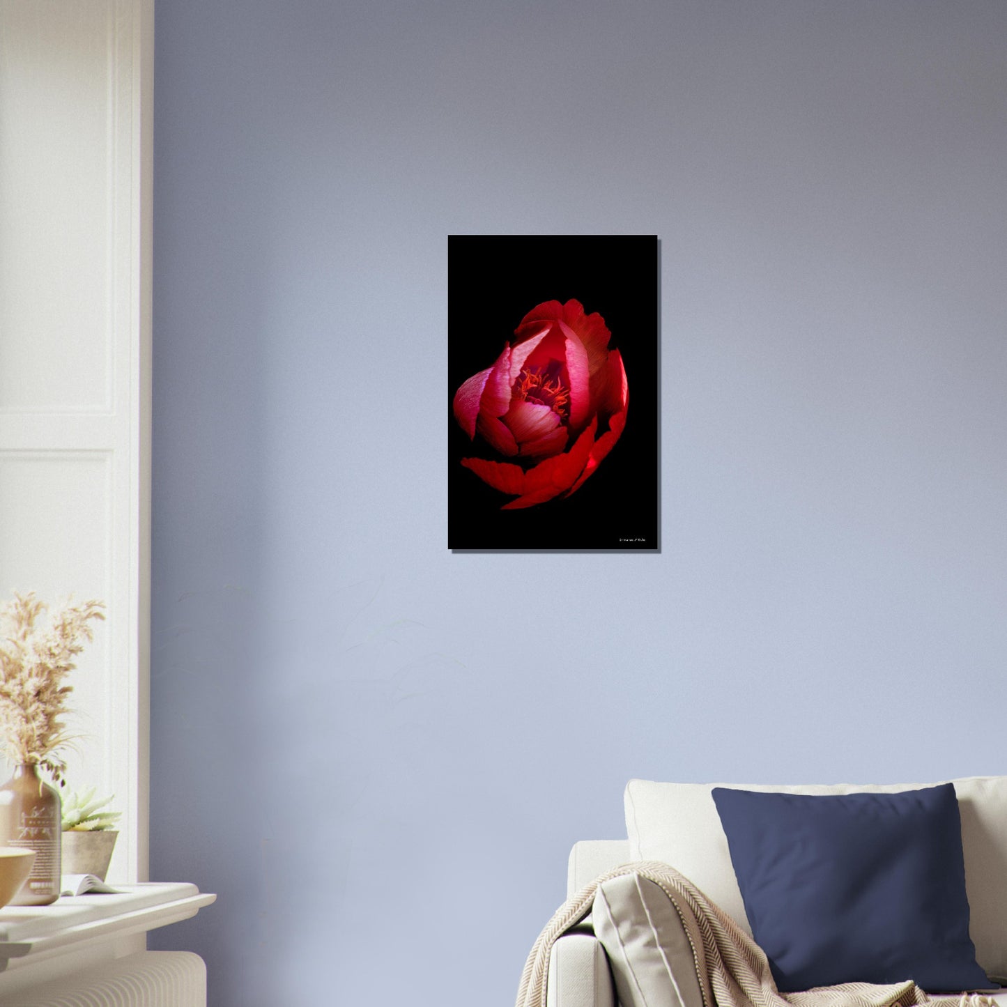 Rose rouge - papier poster Premium Semi-Glossy