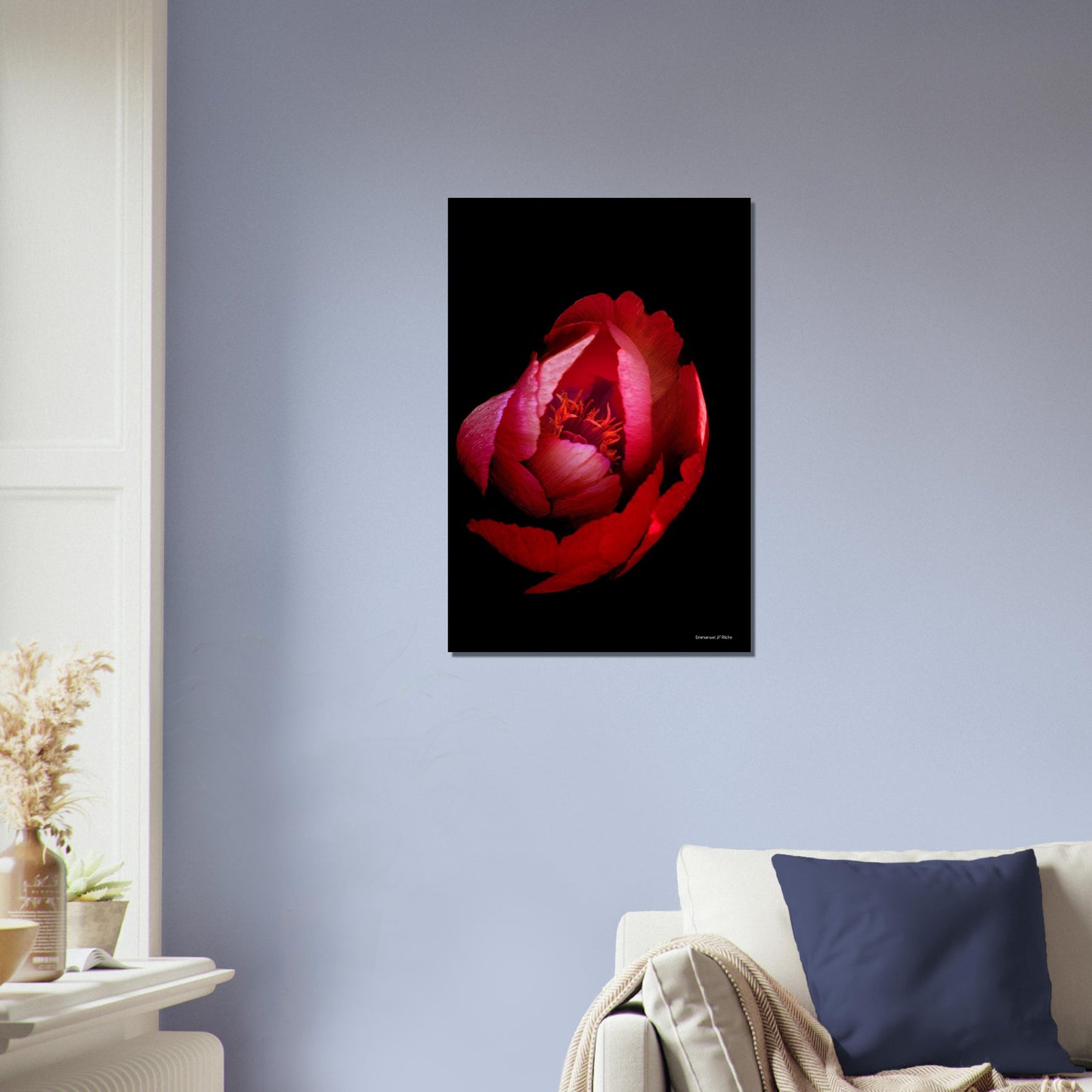 Rose rouge - papier poster Premium Semi-Glossy