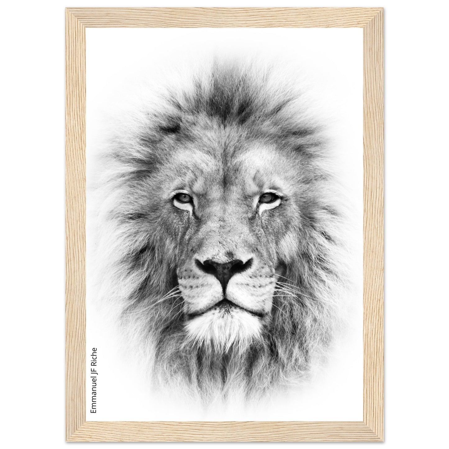 Lion - Cadre bois et papier poster mat 200g/m2 et cadre bois