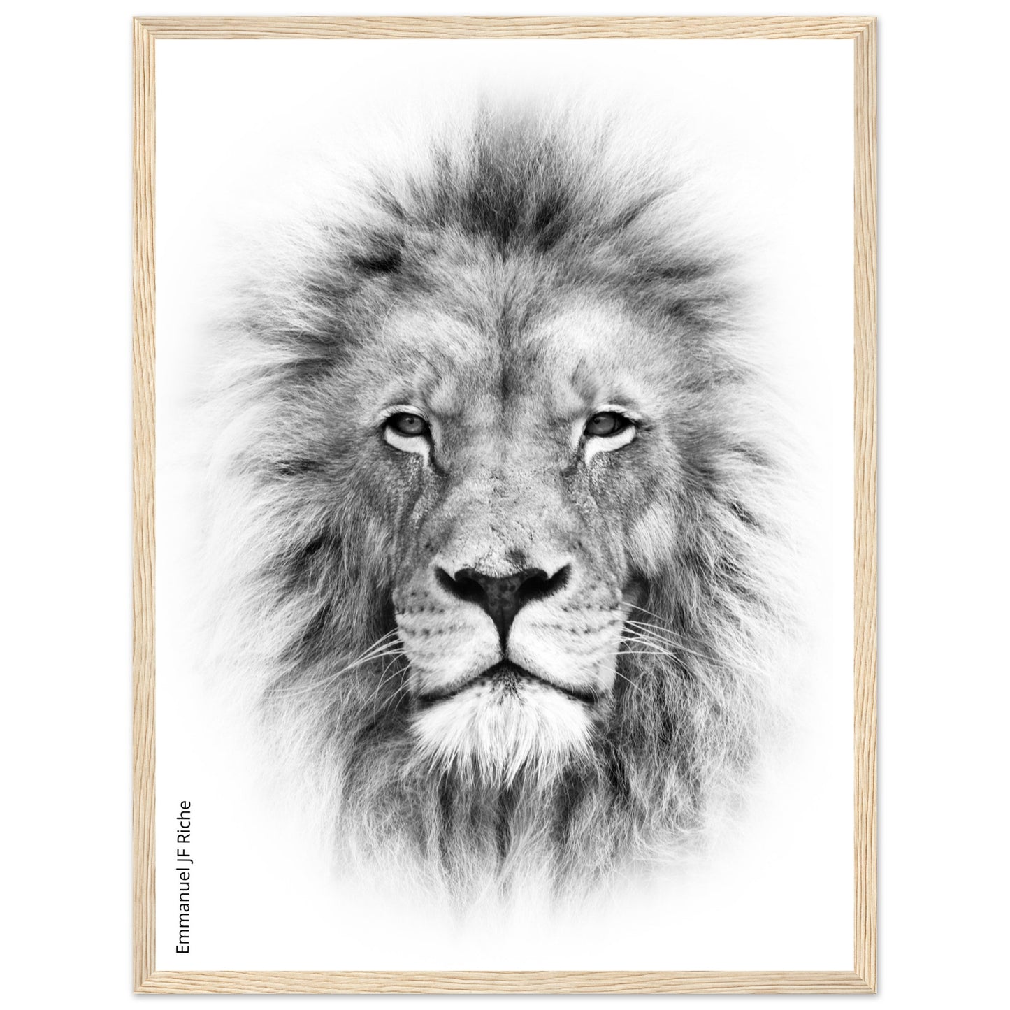 Lion - Cadre bois et papier poster mat 200g/m2 et cadre bois