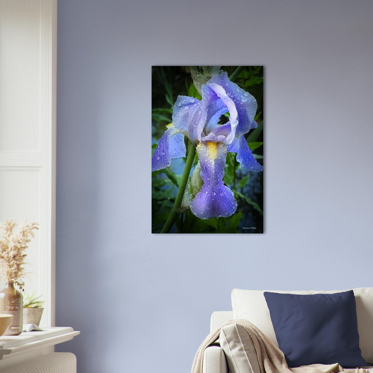 Iris mauve - papier poster Premium Semi-Glossy