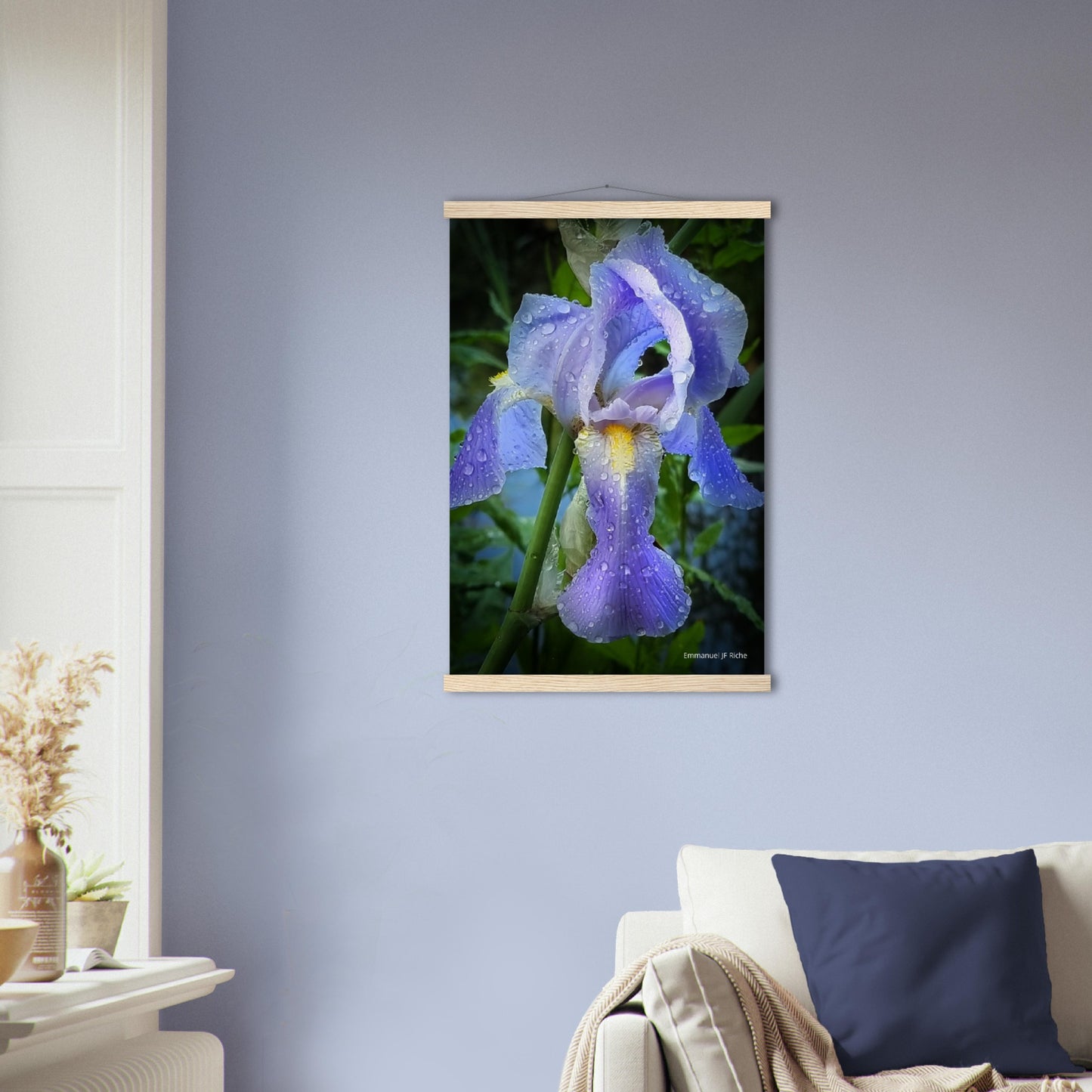 Iris mauve - Affiche en papier mat qualité musée avec cintres bois