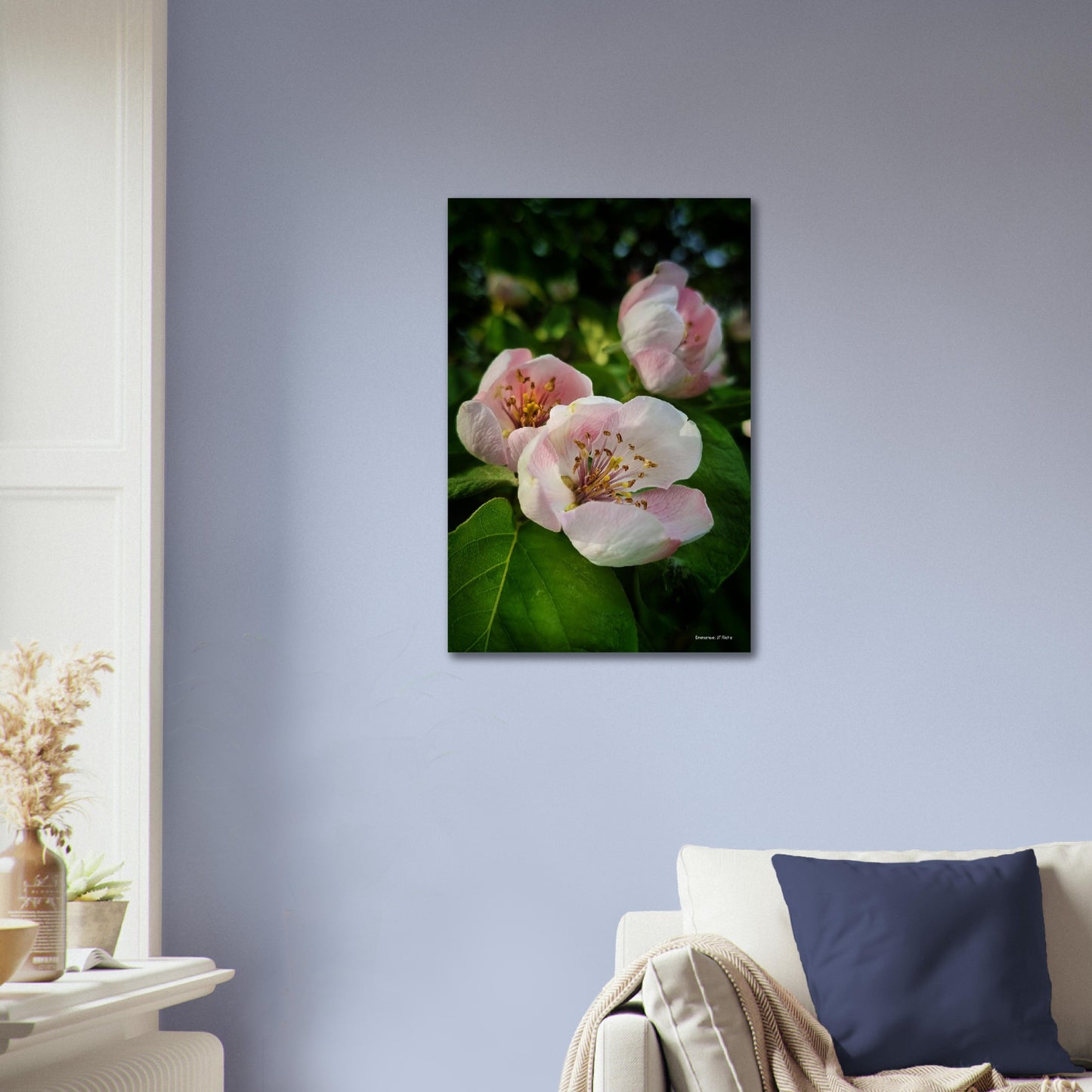 Fleurs de coing - Papier poster Premium Semi-Glossy