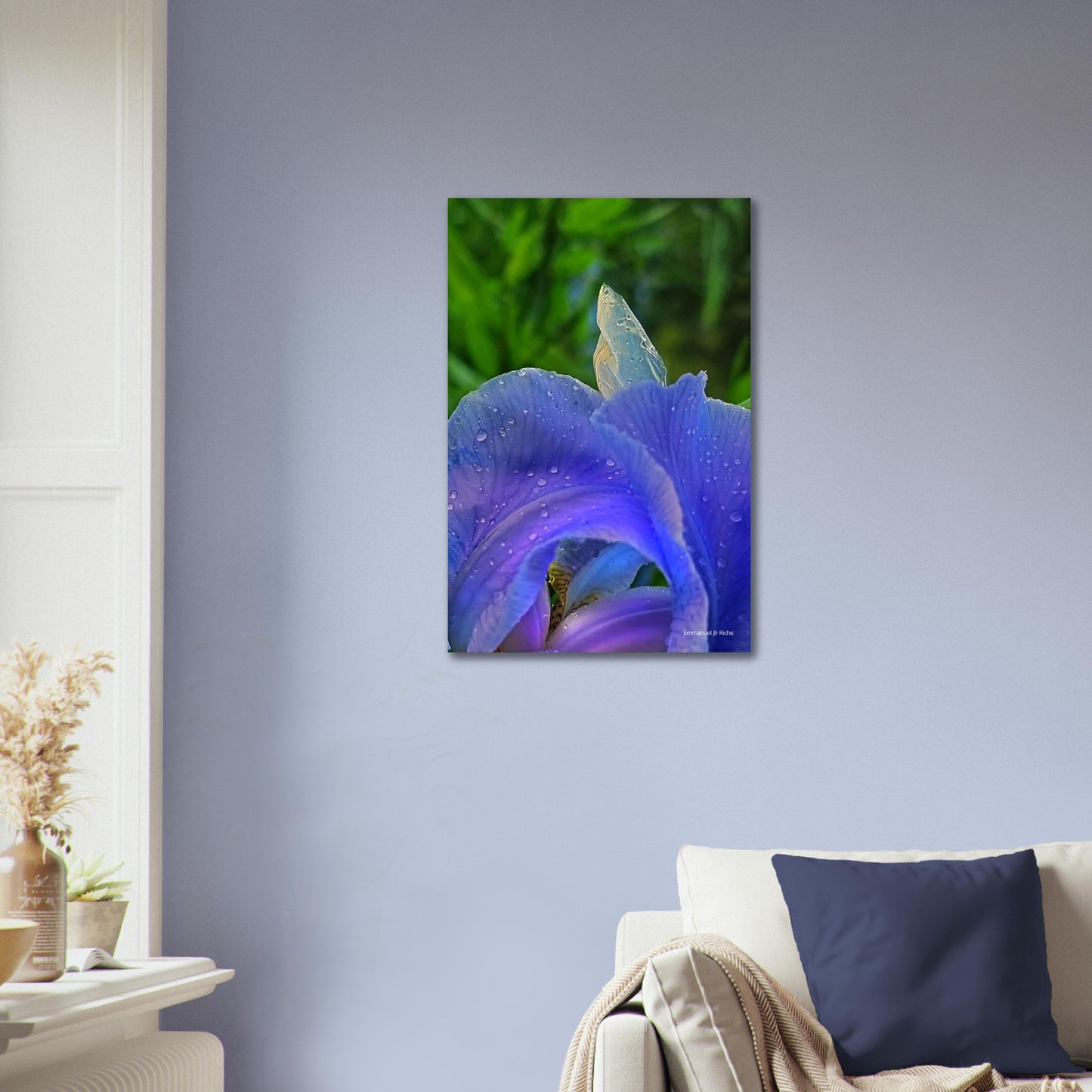 Iris mauve - Impression sur aluminium