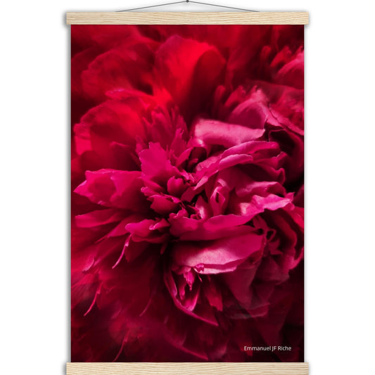 Rose feuille 2 - Affiche en papier mat qualité musée avec cintres bois