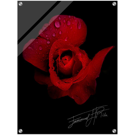 Rose rouge - signature