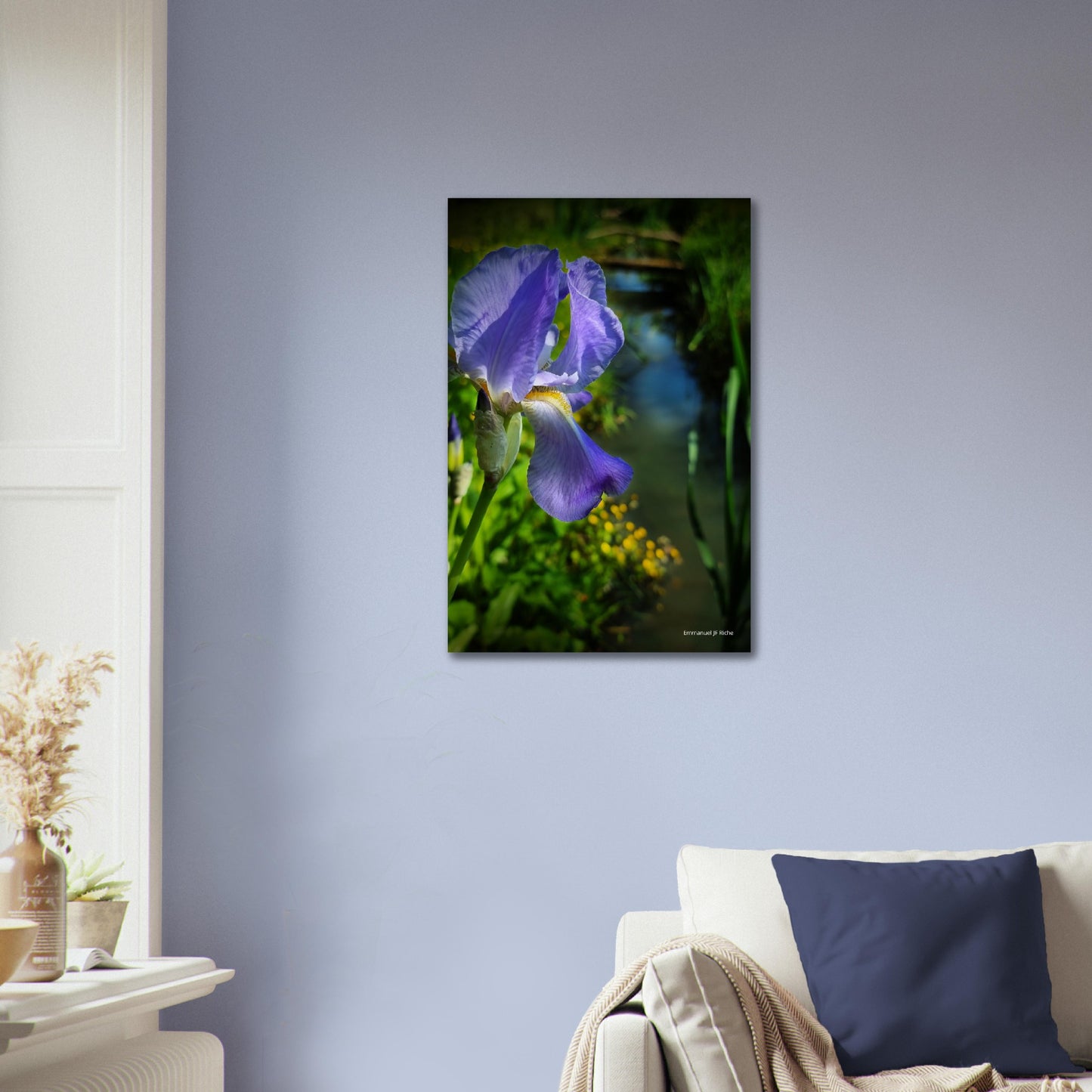 Iris mauve - Impression sur aluminium