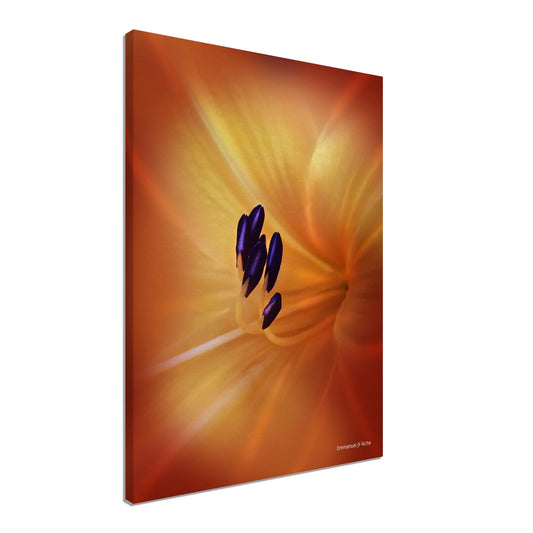 Tulipe - Canvas / Impression sur toile